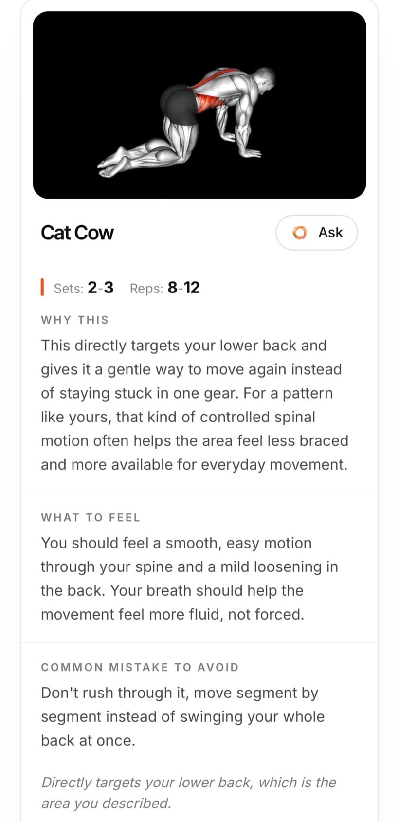 Motion Doctor exercise program screen showing the Cat Cow movement with sets, reps, and why-this guidance
