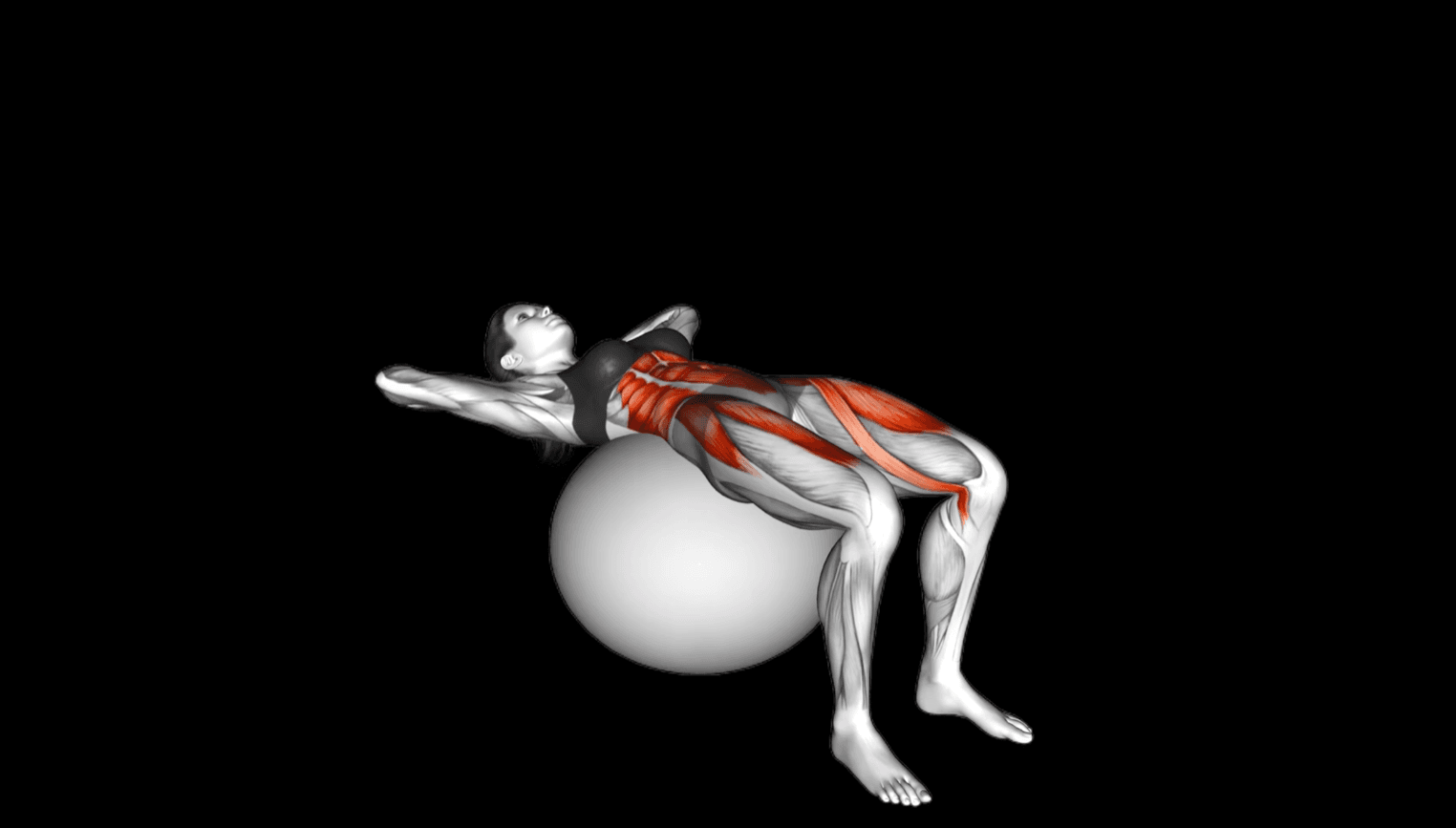 Guided core stability movement on a stability ball