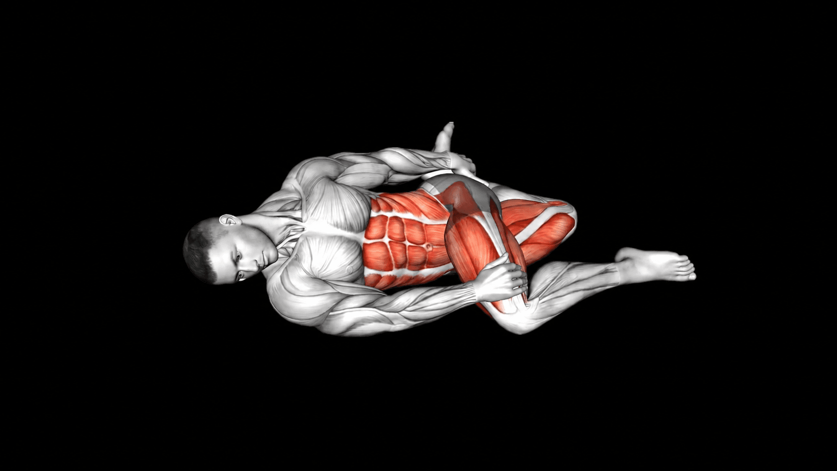 Guided trunk stability movement
