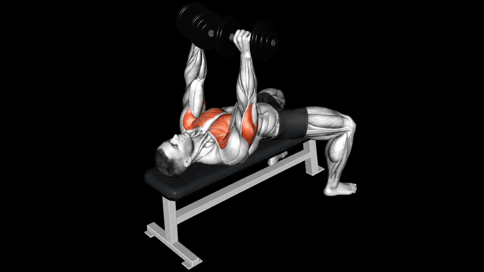 Guided lower body strengthening demonstration